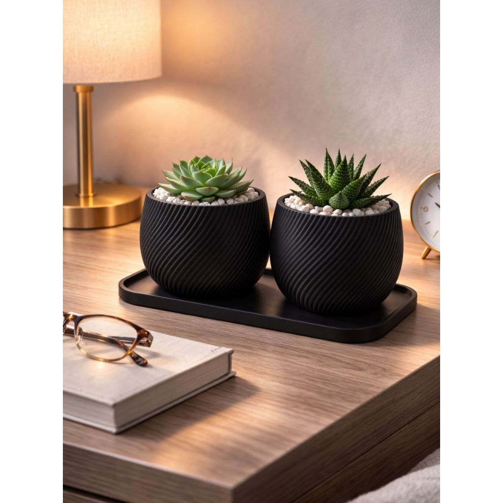 Conjunto Vasos e Bandeja Decorativos para Pequenas Plantas e Suculentas com 2 Home Decore em Oferta na Shopee