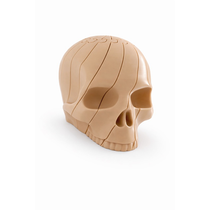 Crânio Articulado Impressão 3D Decorativo Caveira Fidget Anti Stress Decoração Geek Colecionável