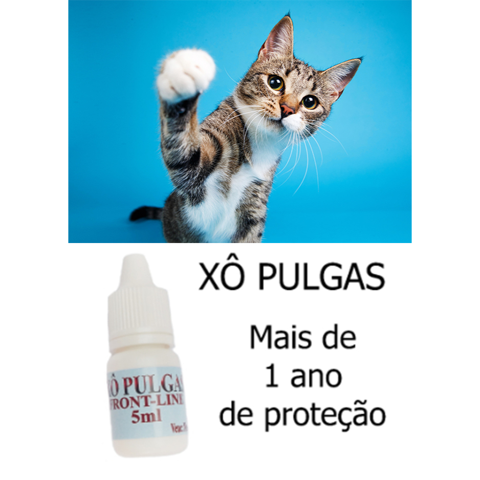 Xô Pulgas e Carrapatos para Gatos em Oferta na Shopee