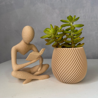 Estátua Livro + Vaso para Suculenta – Decoração Moderna 3D em Oferta na Shopee