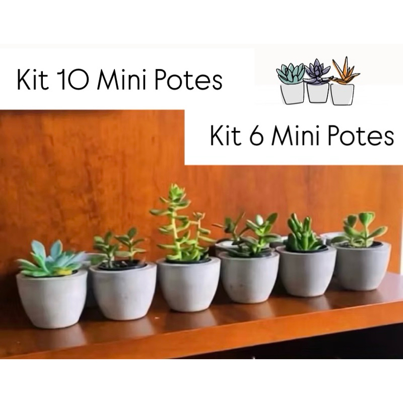 Kit Vaso Decorativo Mini Cachepot De Cimento Plantas Suculentas e Cactus em Oferta na Shopee
