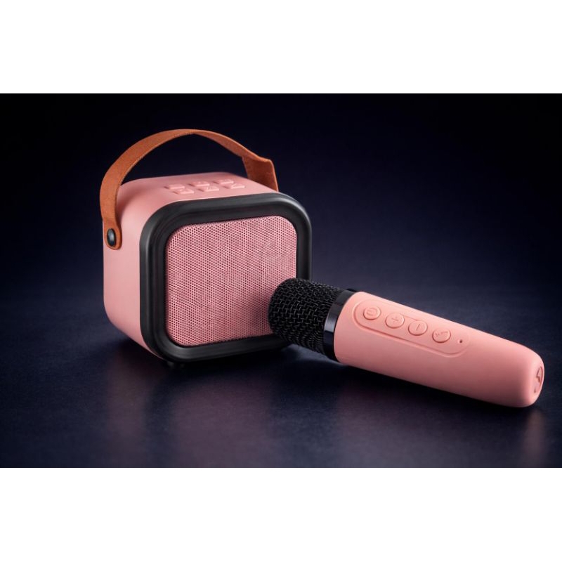 Mini Caixa De Som Portátil Karaokê Bluetooth 5w 2 Microfones Rosa Alfacell