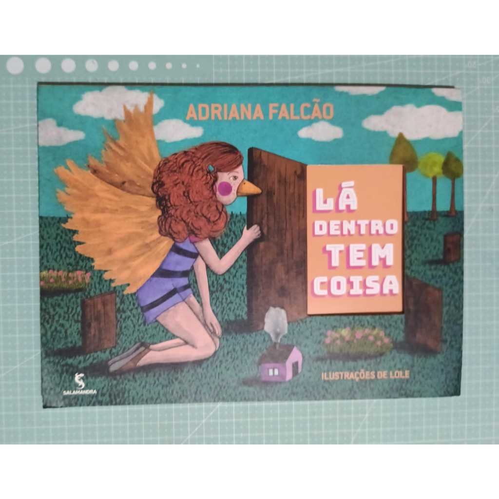Lá dentro tem coisa Capa flexível Usado Excelente