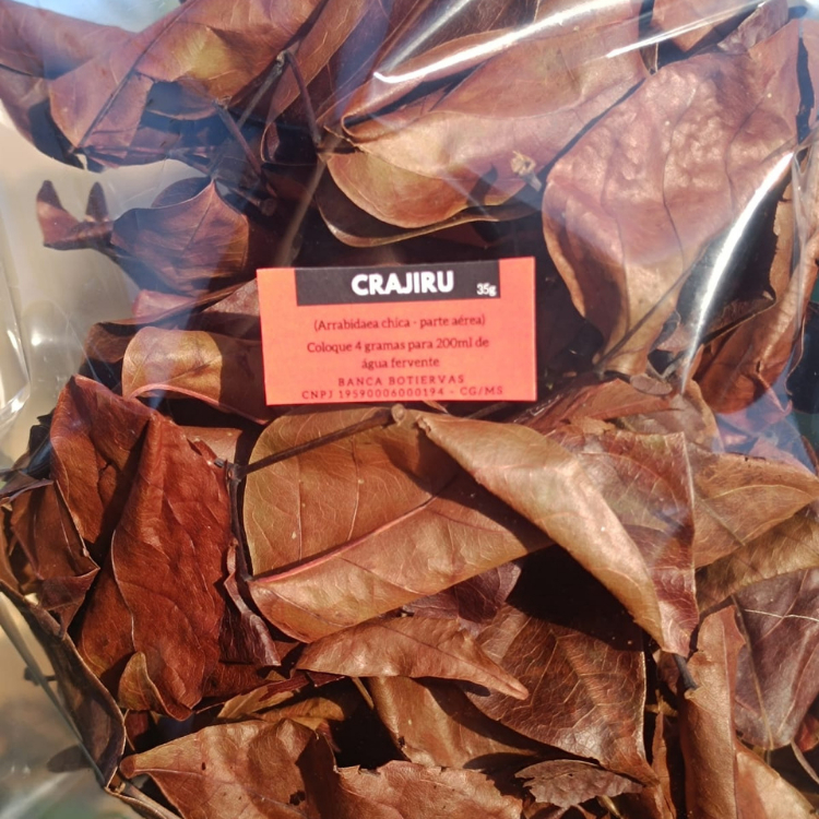 CRAJIRU PARIRI FOLHAS PREMIUM AMAZONAS 100%
