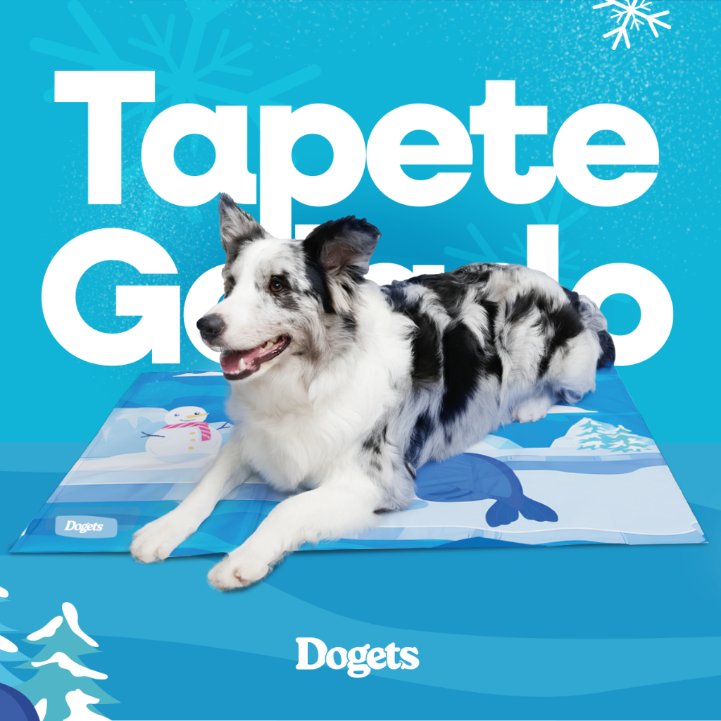 Tapete Refrescante Pet Gelado Tamanho M 90x60cm Dias Quentes Verão Cachorros Gatos Frescor em Oferta na Shopee