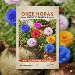 Pacote Sementes de Onze-Horas Flor Gigante (Cores Sortidas)