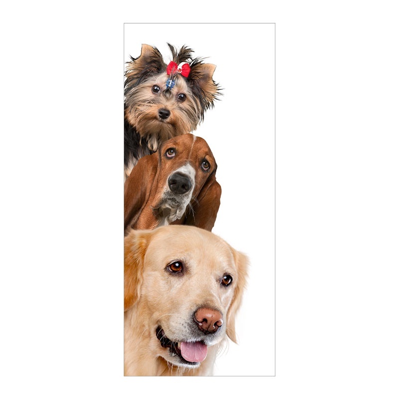 Adesivo Decorativo de Porta Parede Vidro Cachorros Pet Shop - 2482mlpt_118Altx50Larg