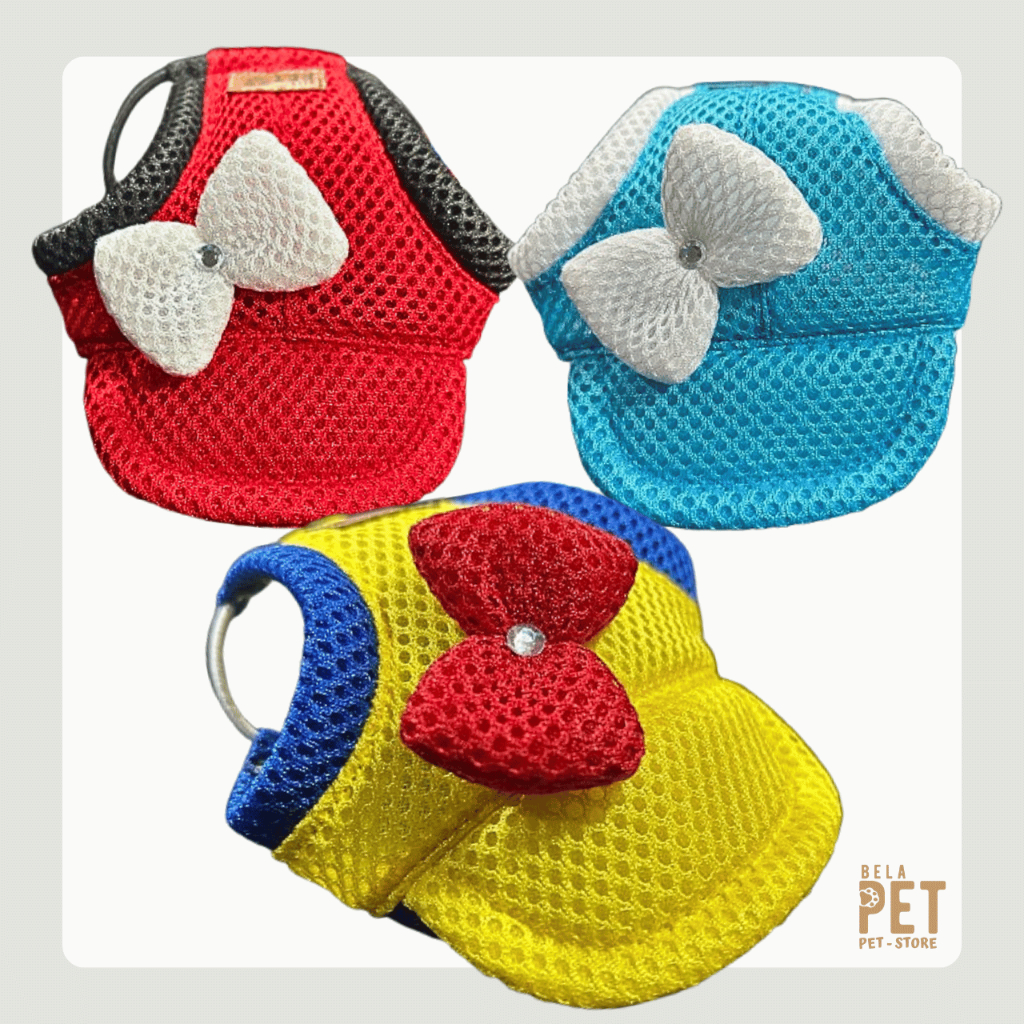 Boné Para Cachorro e Gato - Personagens - Branca de Neve - Sereia Ariel - Minnie Mouse - COM TOP em Oferta na Shopee