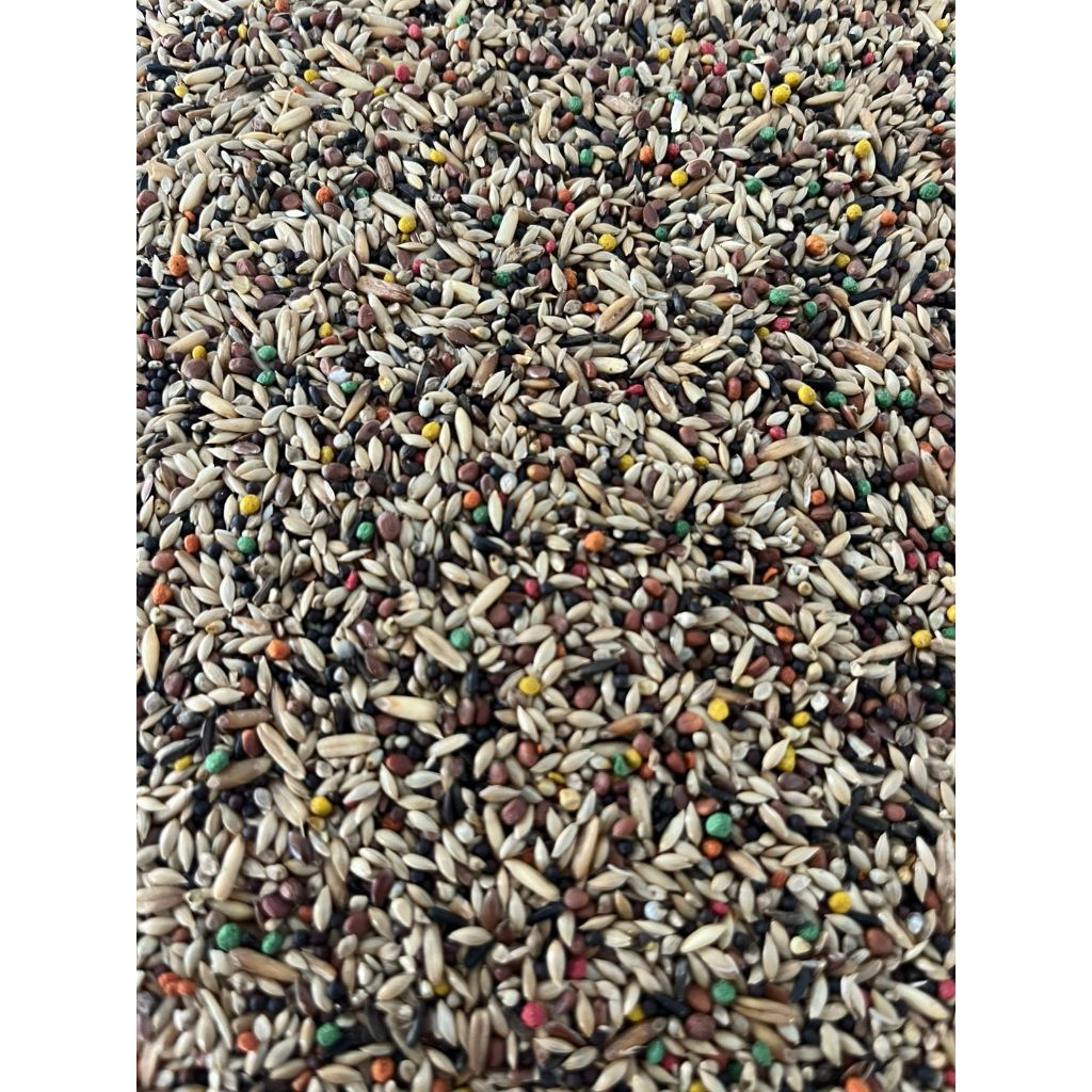 Canário do reino com mel mistura premium sementes limpas e sopradas até 2KG — imagem 2 de 2