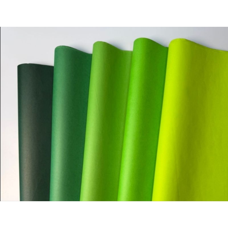 Papel de Seda- 100 Folhas - 5 Tons de Verde,Sendo 20 folhas de cada Verde no Pacote,Embalagem, Presentes,Rococó e Pipa