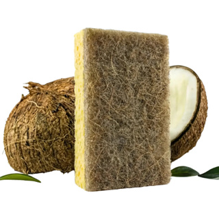 Kit Raiz Eco 10 Esponjas Biodegradáveis Naturais Ecológicas Veganas Sustentáveis Ideal Para Cozinha em Oferta na Shopee