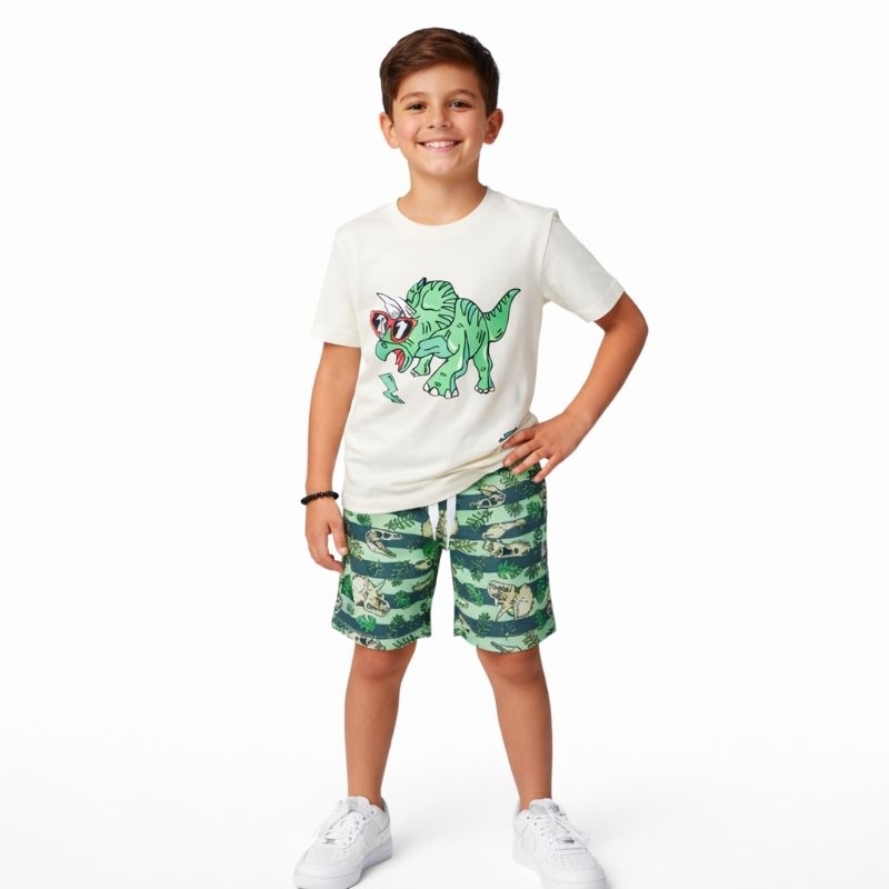 Conjunto Infantil Masculino Estampado e Liso Modelos Variados – Camiseta + Shorts – Tamanhos 1 ao 10