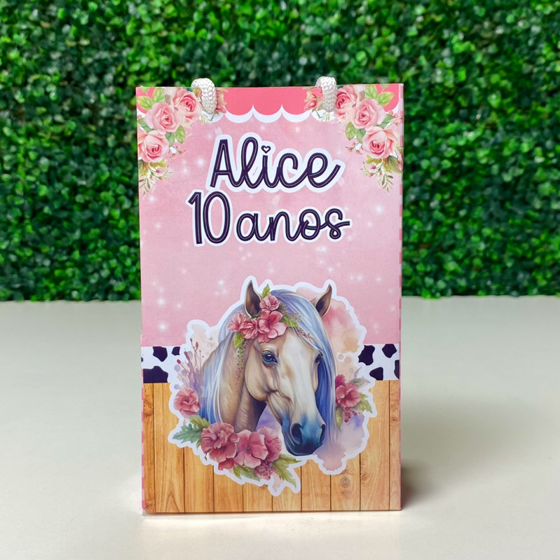 Sacolinha Surpresa Personalizadas BOIADEIRA para Festas/ Lembrancinhas-/ festa infantil/