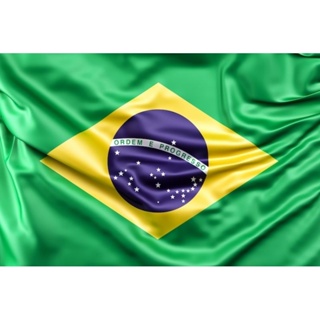 Bandeira do Brasil, Copa do Mundo em Cetim Tamanho Grande 1,50x1,00 e Médio 0,70x0,90 com acabamento em Oferta na Shopee