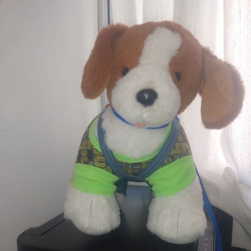 Pelúcia Crie Amigo Beagle Usado