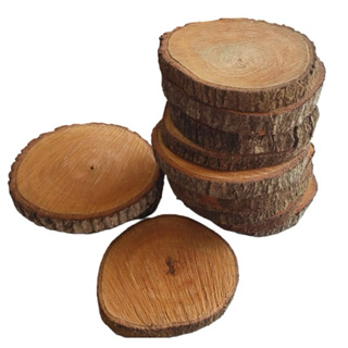 Bolacha de madeira qualidade rústica 20 a 25cm decoração artesanato tronco de árvore em Oferta na Shopee