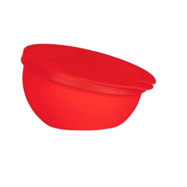 Tupperware Saleiro 300g Vermelho Tupper