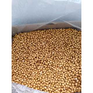 Grão de Bico Torrado Salgado 500gr/250gr em Oferta na Shopee