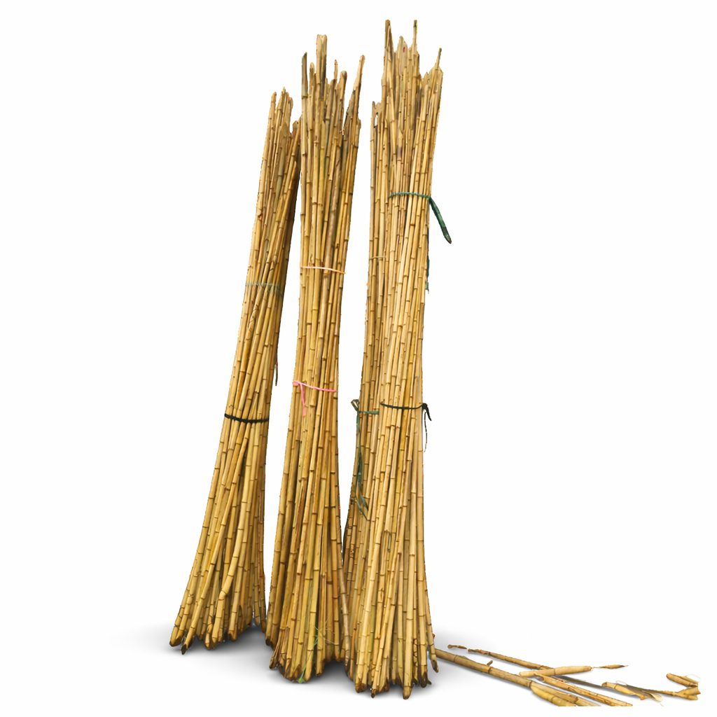 Estaca de Bambu Natural 120 cm Tutor para Plantas Horta Jardim Artesanato 1 a 3cm Kit em Oferta na Shopee