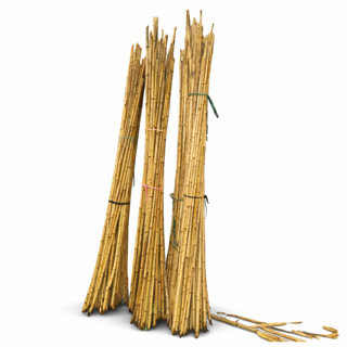 Estaca de Bambu Natural 120 cm Tutor para Plantas Horta Jardim Artesanato 1 a 3cm Kit em Oferta na Shopee