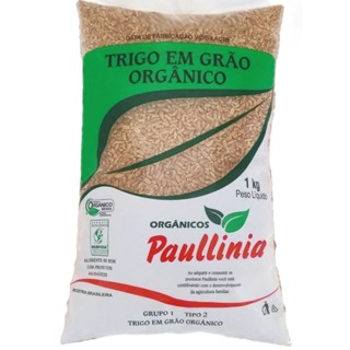 Trigo em Grão Orgânico Paullinia 1kg em Oferta na Shopee