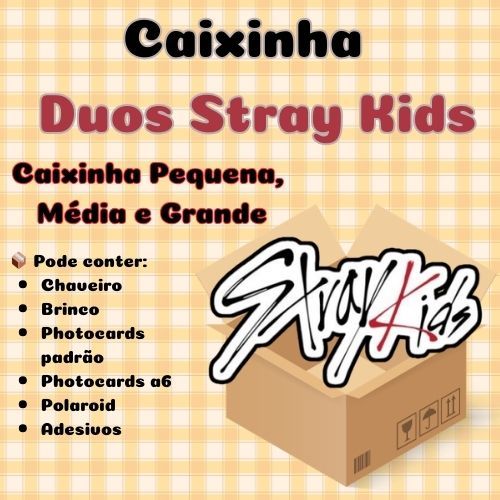 Caixinha todos os Duos Stray Kids – Tamanho P, M e G Itens Exclusivos para STAYs! em Oferta na Shopee