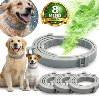 Coleira Para Prevenção De Pulgas E Carrapatos-Ajustável À Prova D'água Cães Gatos em Oferta na Shopee