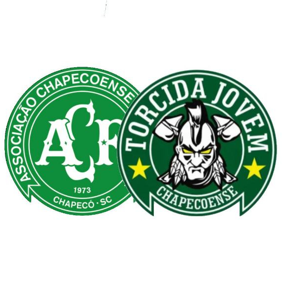 48 Adesivos Chapecoense e Torcida Jovem em vinil a prova d'agua com a opção de zona leste e zona sul se quiser ( chat )