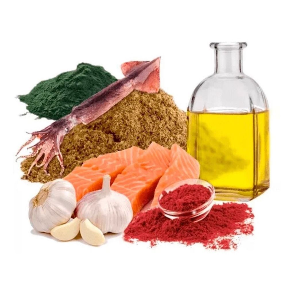 Raçao Para Peixe Beta Poytara Betta 14g Premium