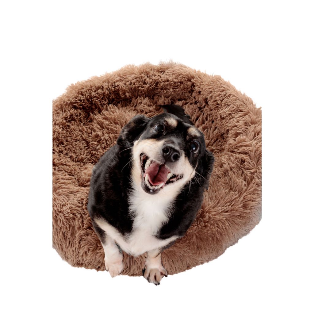 Cama Pet Nuvem Cachorro Gato Dog Caminha 70 Cm Grande Pelúcia Confortável Macia Porte Médio em Oferta na Shopee