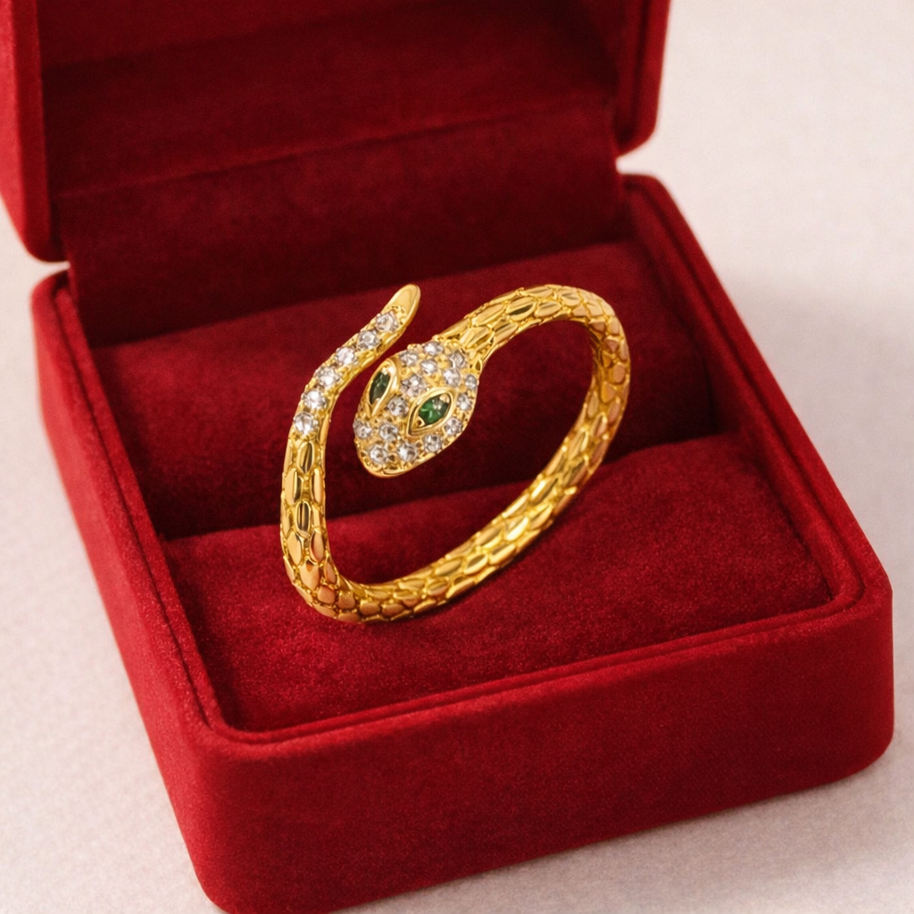 Z.W BIJUX - Anel ajustavel de cobra Com Caixinha em Oferta na Shopee