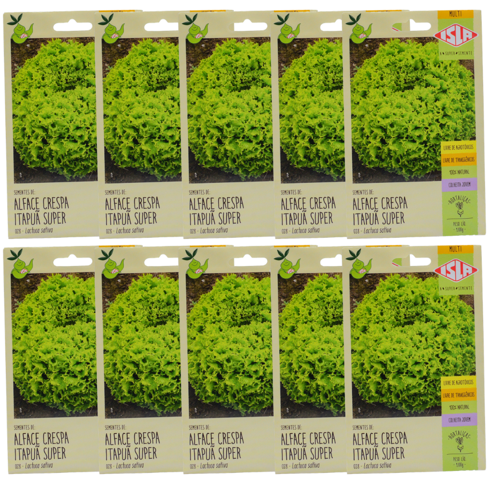 Sementes De  Alface Crespa Itapua Super Para Plantio ISLA -Linha MULTI