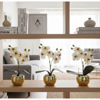 Trio de vasinhos mini arranjo de orquídeas permanentes efeito real decoração em Oferta na Shopee
