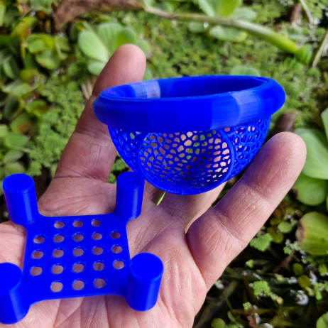 Kit esconderijo e caminha para peixes Betta em Oferta na Shopee