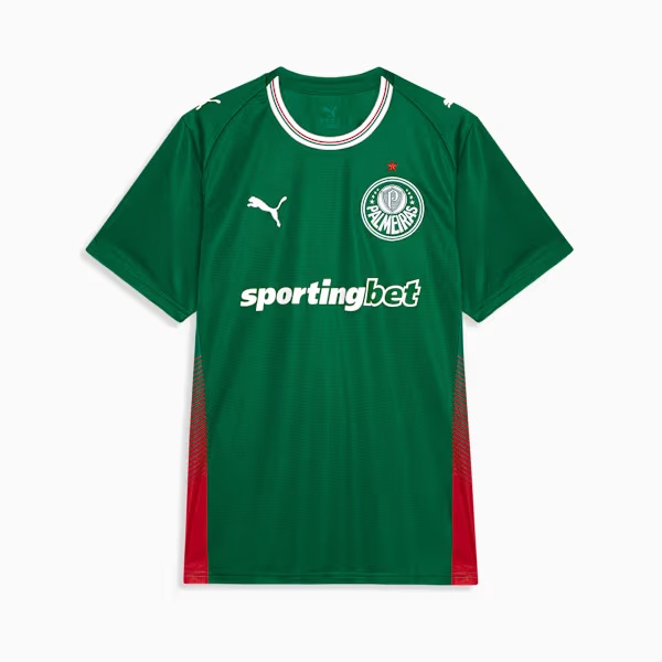 Camisa do Palmeiras Masculina 2026 Torcedor Lançamento Original Camiseta Puma Palmeiras Oficial