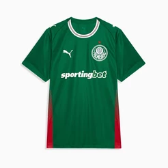 Camisa do Palmeiras Masculina 2026 Torcedor Lançamento Original Camiseta Puma Palmeiras Oficial