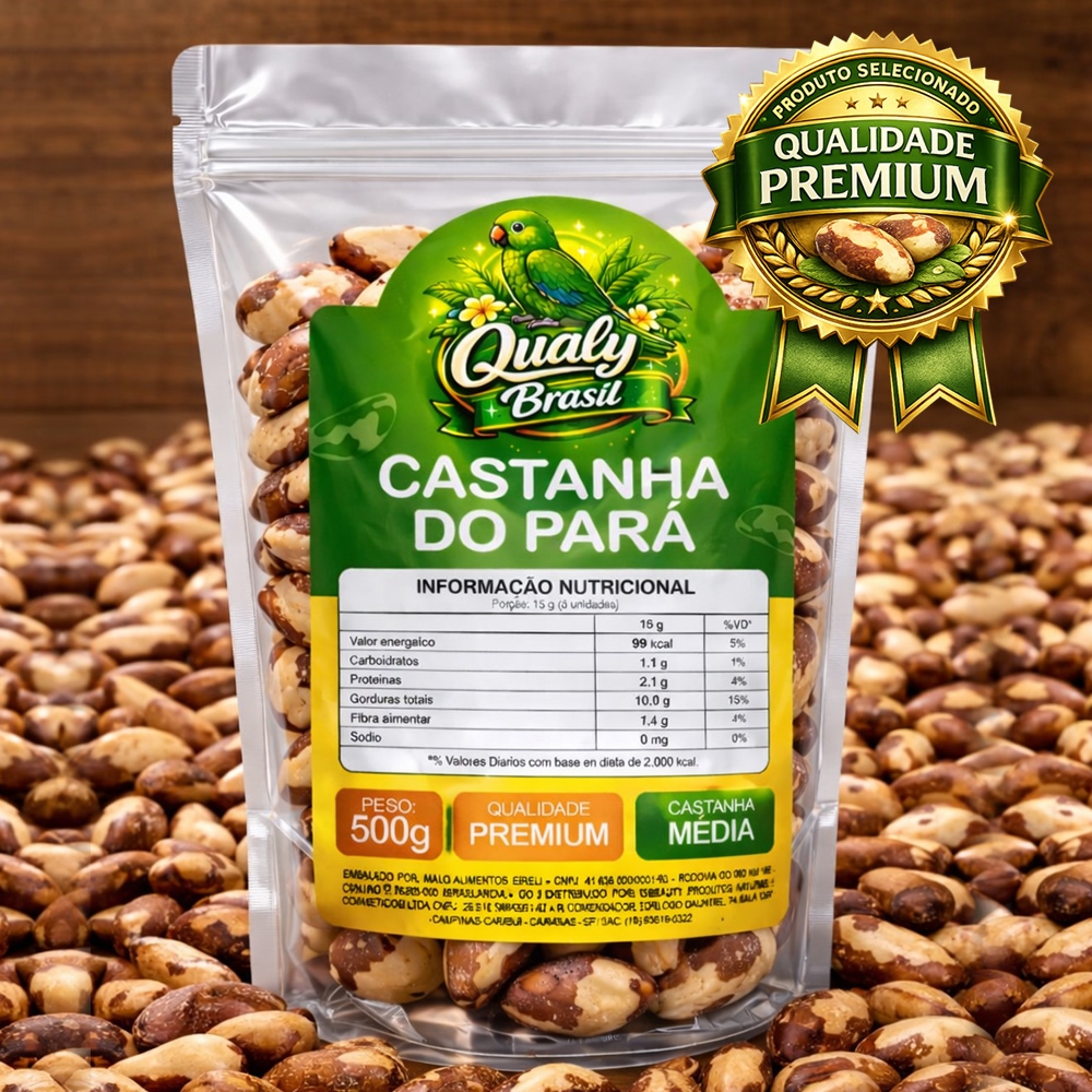 Castanha do Pará Premium 500g Inteira 🌰 Rica em Selênio | Selecionadas | Envio Rápido em Oferta na Shopee