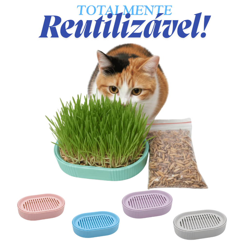 Bandeja Vaso Hidropônico Autoirrigável Grama Graminha para Gato Pet + 50gr Sementes Reutilizável