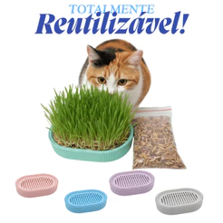 Bandeja Vaso Hidropônico Autoirrigável Grama Graminha para Gato Pet + 50gr Sementes Reutilizável