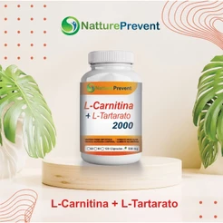CarnitinCaps 60 / 90/ 120 Cápsulas 500mg suplemento alimentar natural