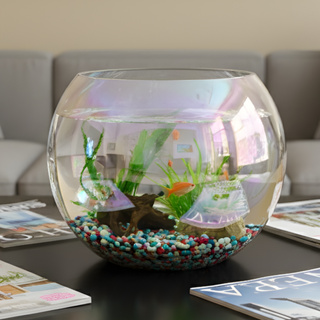 Vaso Decorativo de Vidro Redondo Aquário Terrário Plantas Multiuso Furta cor Transparente em Oferta na Shopee