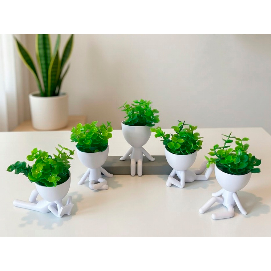 Kit 5 Mini Vasinhos com Planta Inclusa, Lembrancinha, Decoração para Casa, Sala, Estante, Enfeite, Suculenta, 6cm altura em Oferta na Shopee