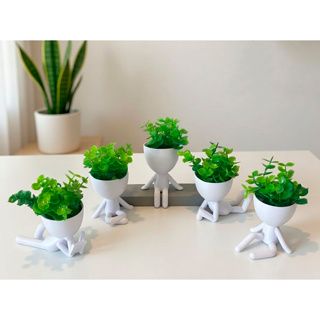 Kit 5 Mini Vasinhos com Planta Inclusa, Lembrancinha, Decoração para Casa, Sala, Estante, Enfeite, Suculenta, 6cm altura em Oferta na Shopee