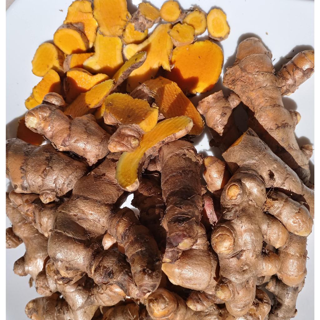 Açafrão da terra 500 gramas - cúrcuma raiz da terra  - tempero 500 gramas in natura raiz