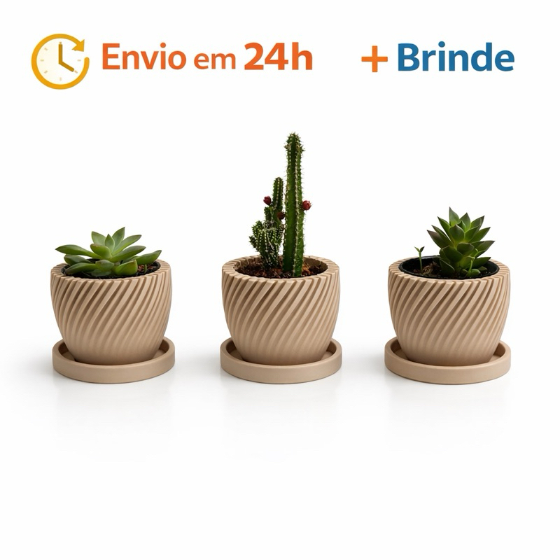 Kit 3 Vasinhos premium para Suculentas com prato,Lembrancinha ,Decoração para Casa, Sala, Estante, Enfeite, cachepot em Oferta na Shopee