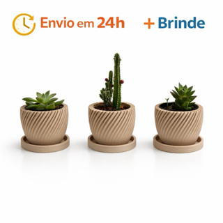 Kit 3 Vasinhos premium para Suculentas com prato,Lembrancinha ,Decoração para Casa, Sala, Estante, Enfeite, cachepot em Oferta na Shopee