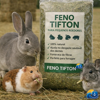 Feno De 2kg Natural Premium para Coelhos Hamster Chinchila e Porquinho-da-Índia Pet Tifton Desidratado1kg 500g 3kg em Oferta na Shopee