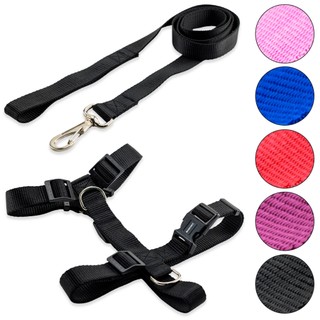 Coleira Peitoral com Guia para Cachorro Cães Regulável Resistente Cor Estampas Blisdog