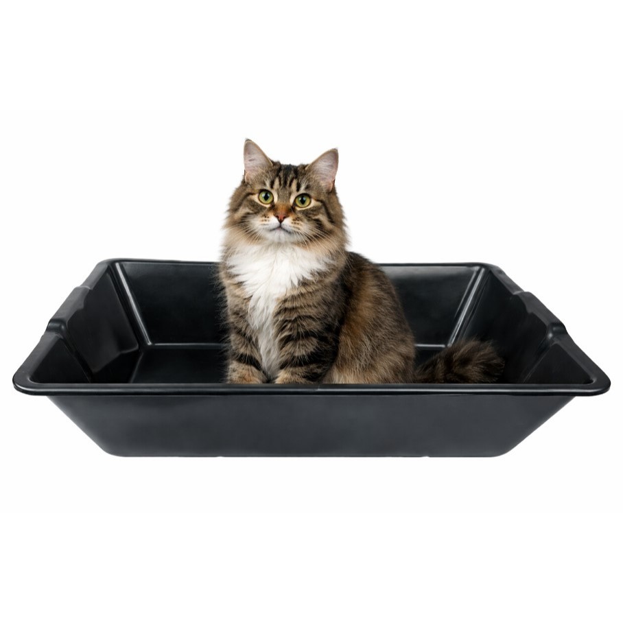 Caixa Plastica 25 Litros Serve Como Caixa de Areia para Pet Multiuso Caixa de Massa