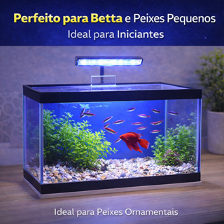 Aquário 10 Litros 35cm Vidro 3mm com Luminária LED Fundo Vinil Azul em Oferta na Shopee